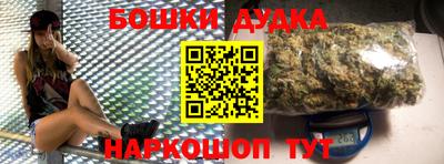 шишки Заволжье